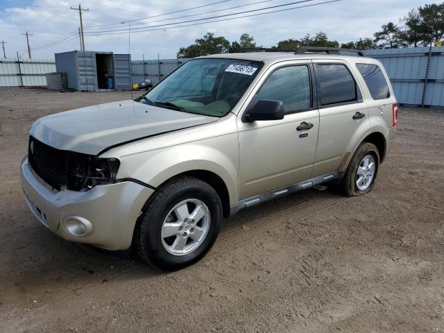 Ford Escape xlt (2010)