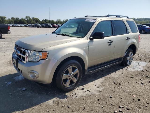 Ford Escape xlt (2010)