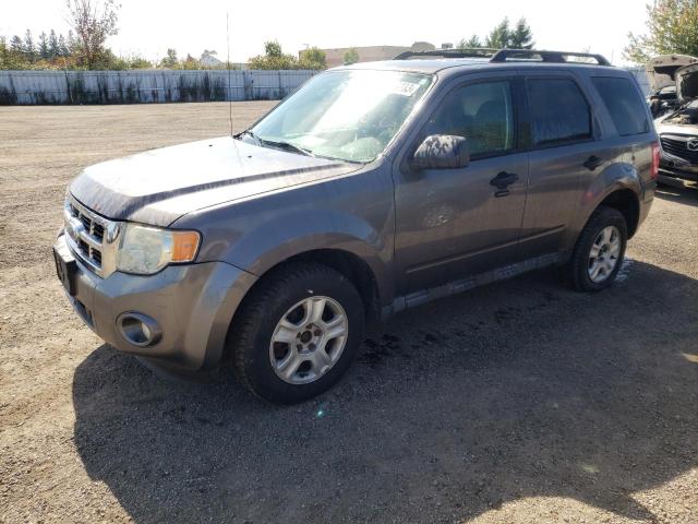 Ford Escape xlt (2010)