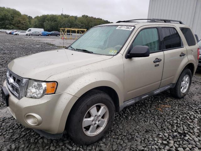 Ford Escape xlt (2010)