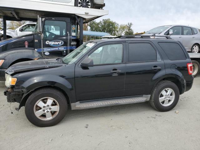 Ford Escape xlt (2010)