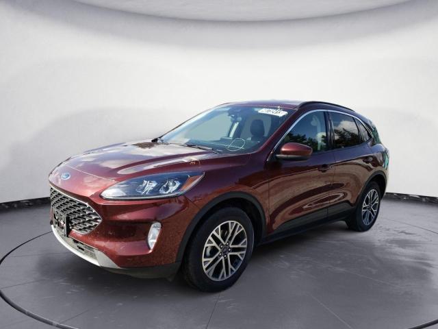 Ford Escape sel (2021)