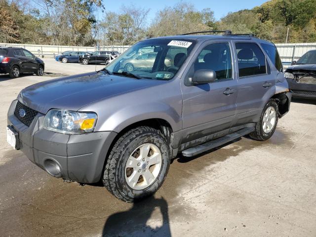 Ford Escape xlt (2007)