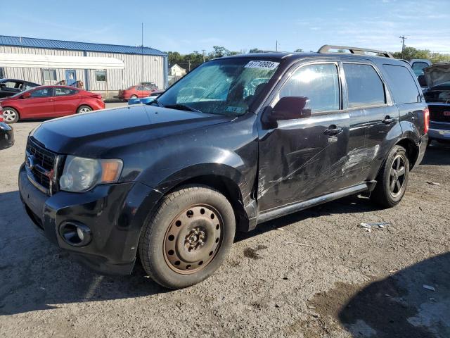 Ford Escape xlt (2010)
