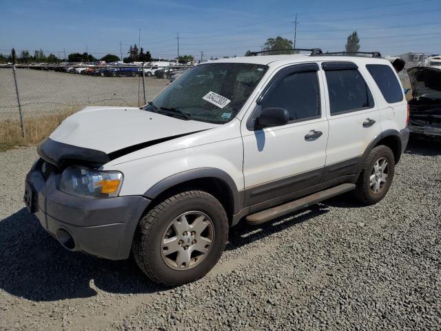Ford Escape xlt (2006)