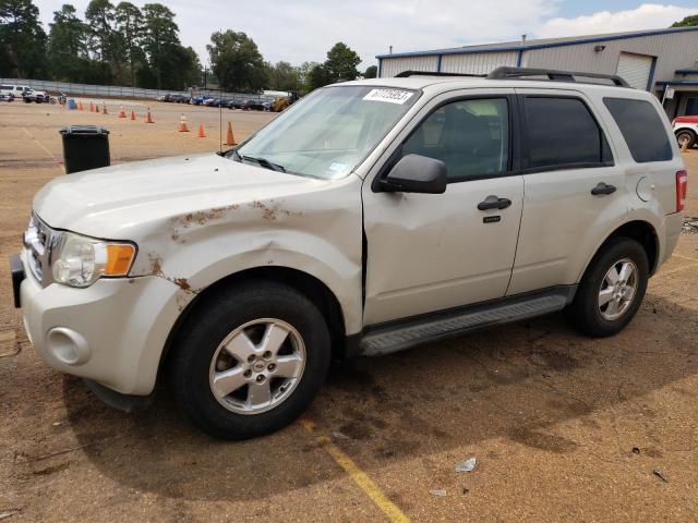 Ford Escape xlt (2009)