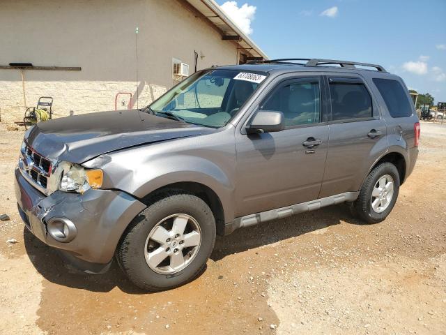 Ford Escape xlt (2009)
