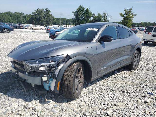Ford Mustang ma (2023)