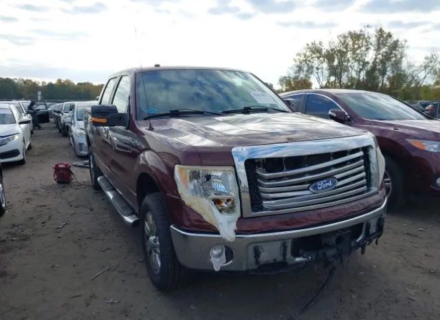 Ford F-150 (2010)