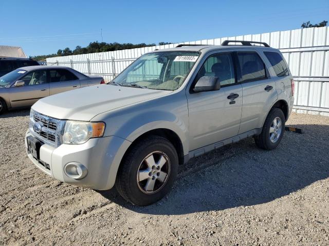 Ford Escape xlt (2009)