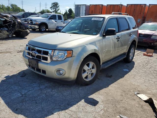 Ford Escape xlt (2011)