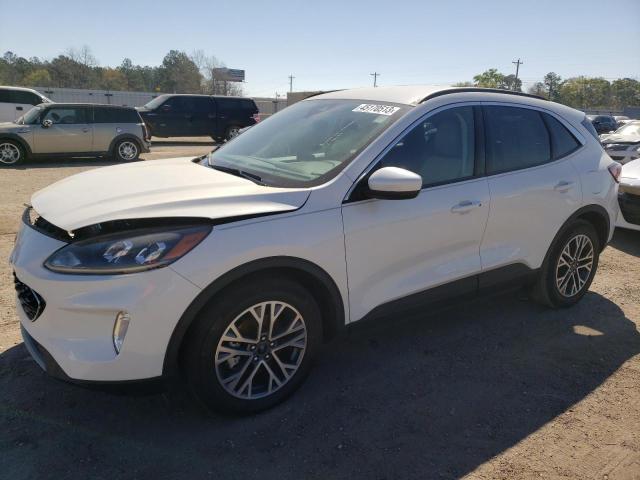 Ford Escape sel (2020)