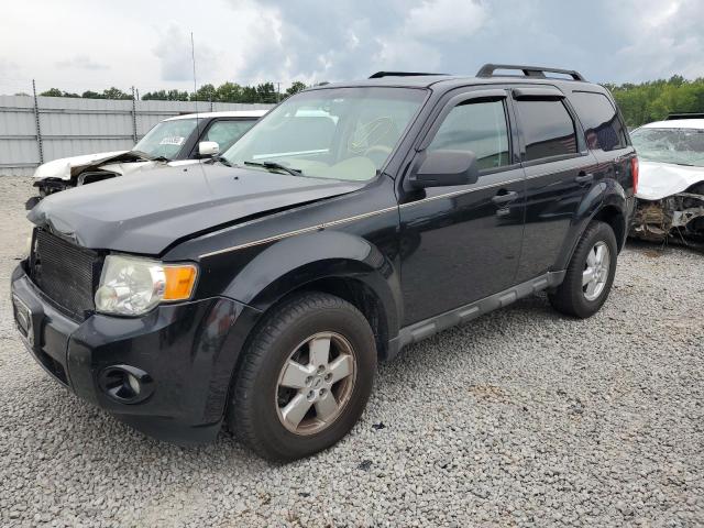 Ford Escape xlt (2009)