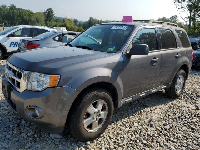 Ford Escape xlt (2011)