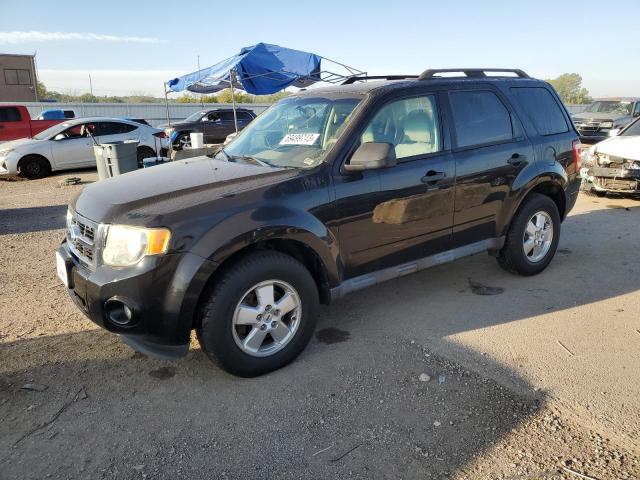 Ford Escape xlt (2011)