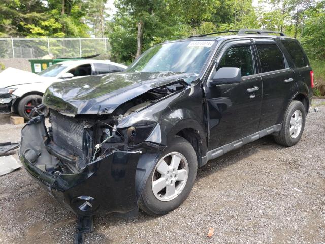 Ford Escape xlt (2011)
