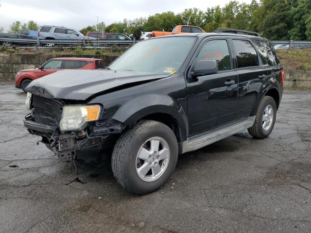 Ford Escape xlt (2011)