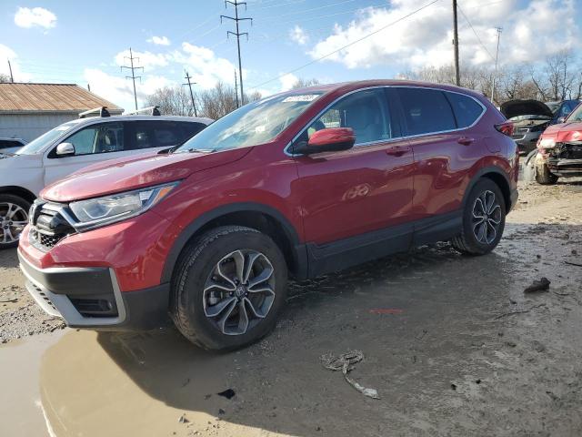 Honda Cr-v ex (2022)