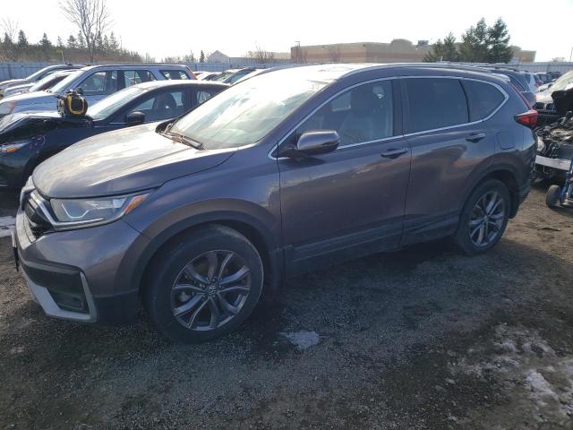 Honda Cr-v sport (2021)