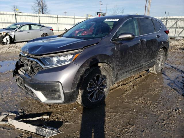 Honda Cr-v ex (2020)