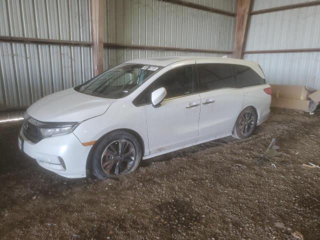 Honda Odyssey el (2023)