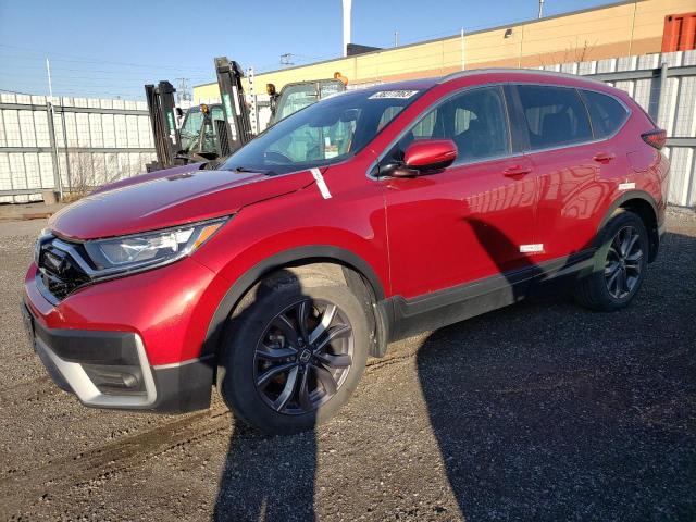 Honda Cr-v sport (2021)