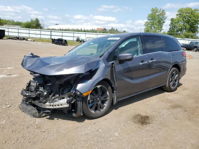 Honda Odyssey el (2021)