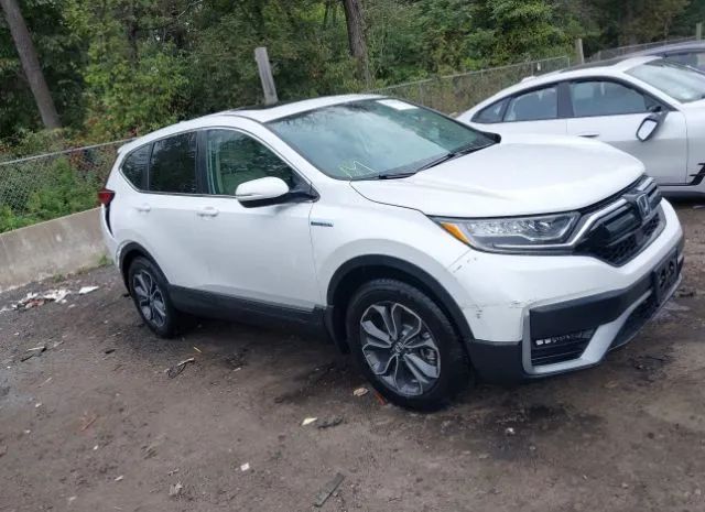 Honda Cr-v hybrid (2022)