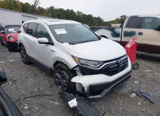 Honda Cr-v hybrid (2022)