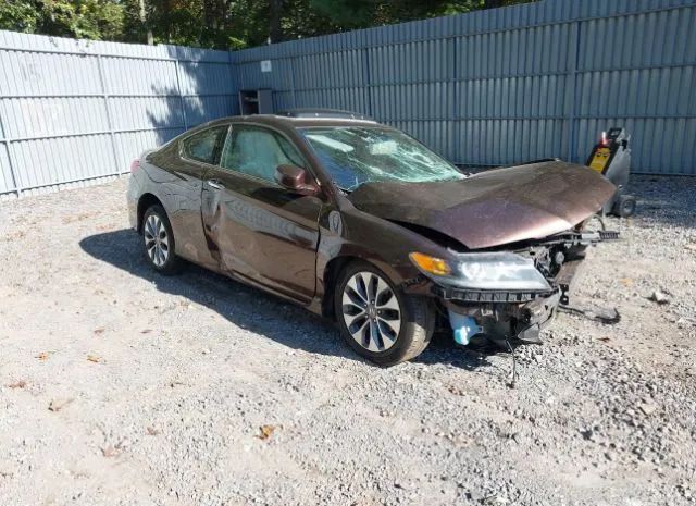 Honda Accord coupe (2014)