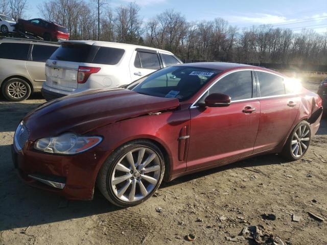 Jaguar Xf (2011)