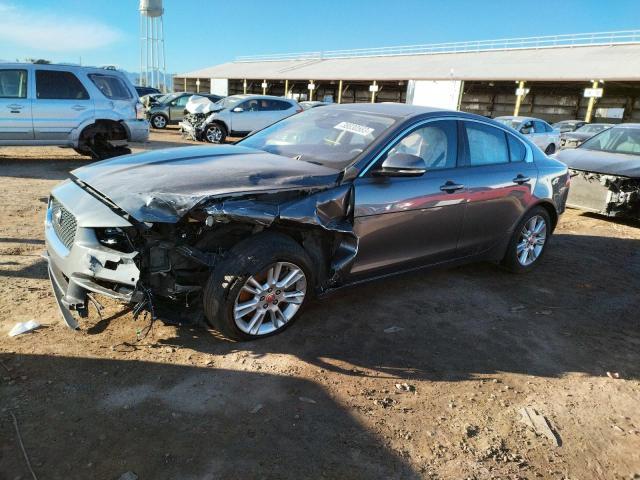 Jaguar Xe premium (2017)
