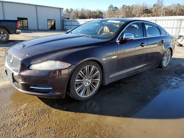 Jaguar Xjl portfo (2013)