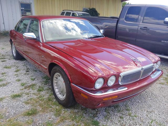 Jaguar Vandenplas (2000)