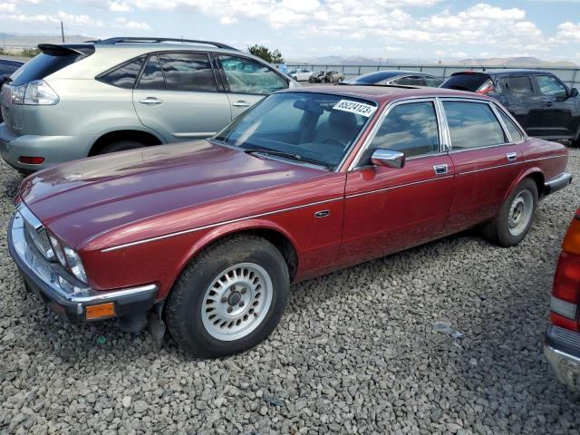 Jaguar Vandenplas (1989)