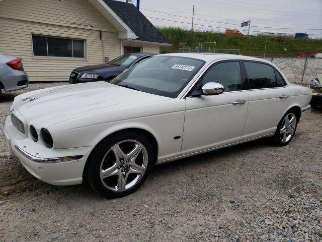 Jaguar Vandenplas (2006)
