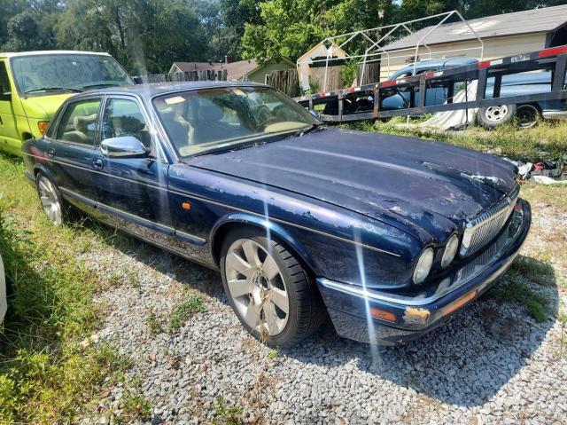 Jaguar Vandenplas (1995)