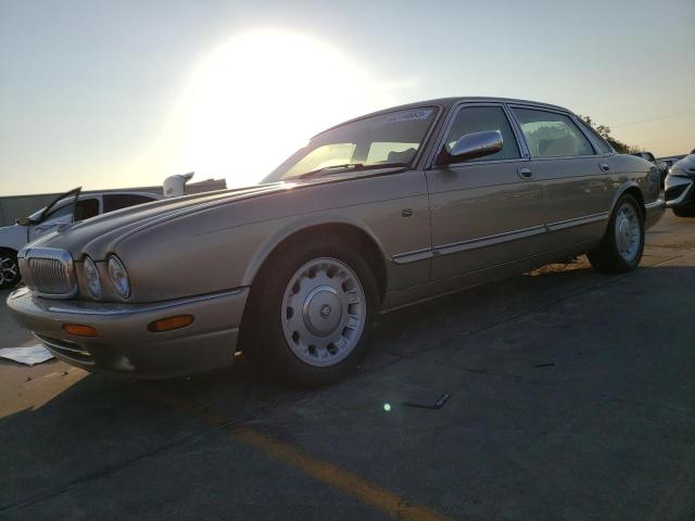 Jaguar Vandenplas (1999)