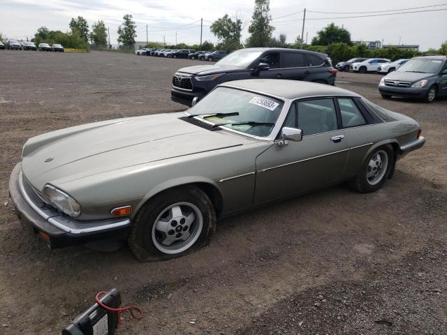Jaguar Xjs (1987)