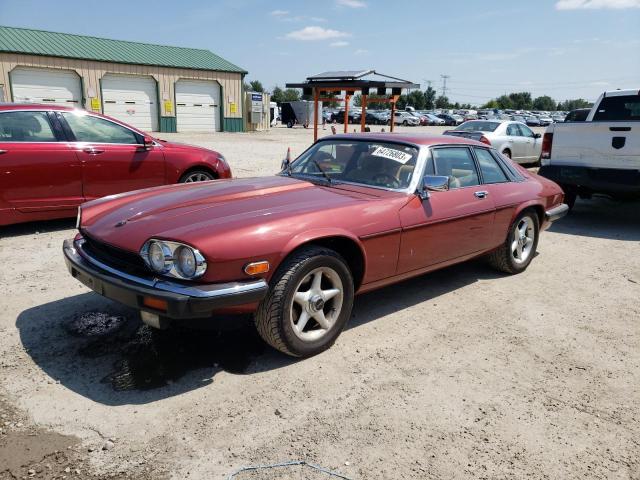 Jaguar Xjs (1983)