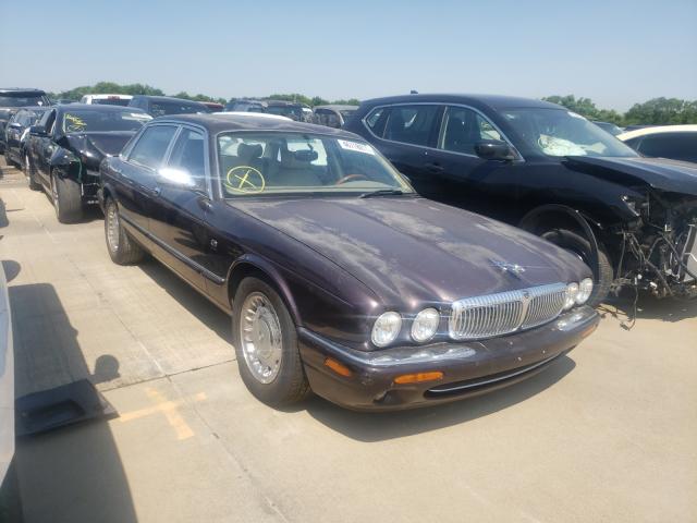 Jaguar Vandenplas (1999)