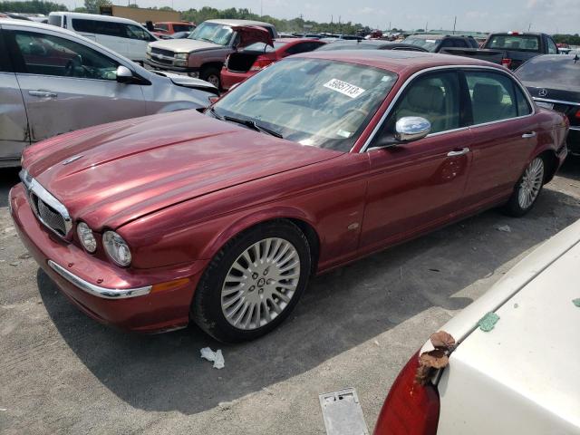 Jaguar Vandenplas (2006)