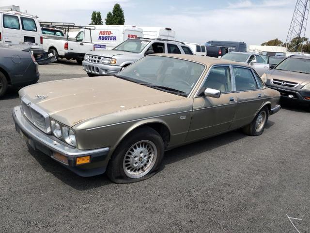 Jaguar Vandenplas (1989)