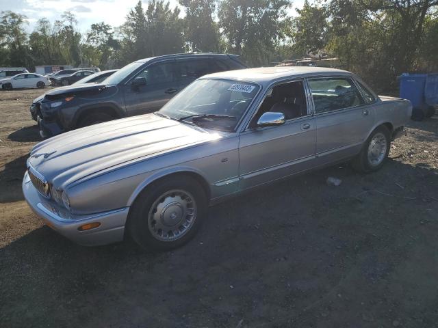 Jaguar Vandenplas (2000)