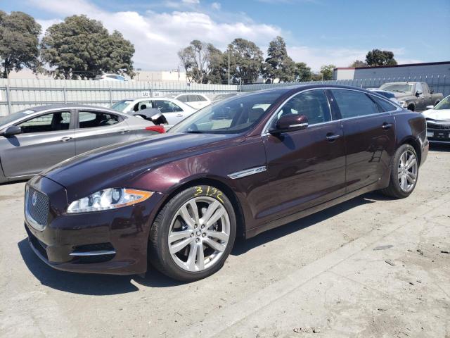 Jaguar Xjl portfo (2013)