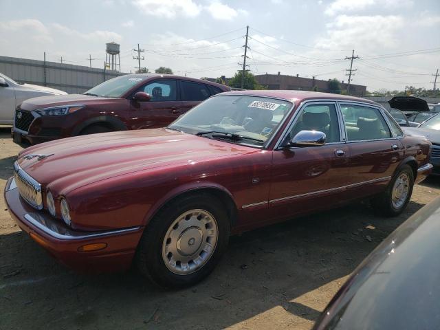 Jaguar Vandenplas (2000)