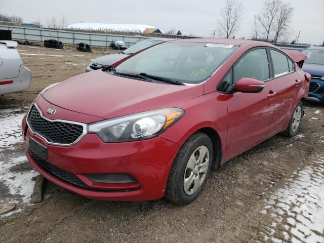 Kia Forte lx (2015)