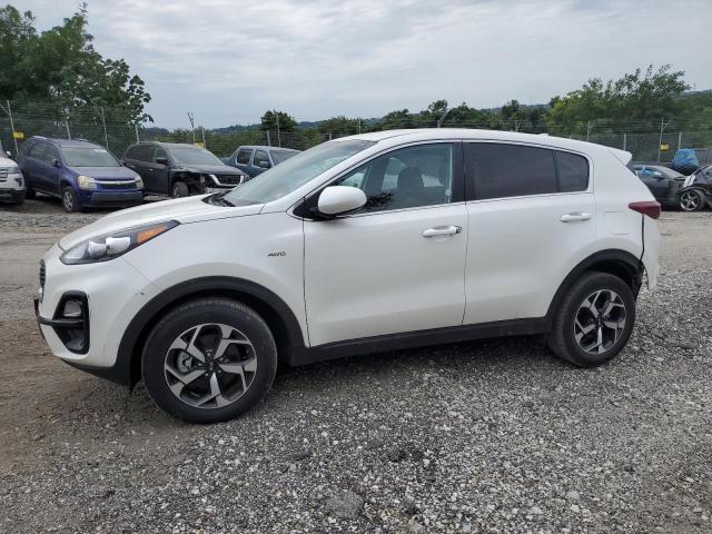 Kia Sportage l (2021)
