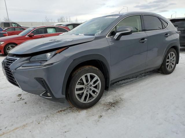 Lexus Nx 300 (2020)