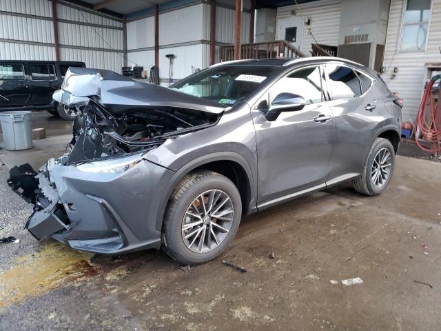 Lexus Nx 250 (2022)
